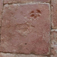 pl_15