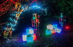 wimpolelights-32